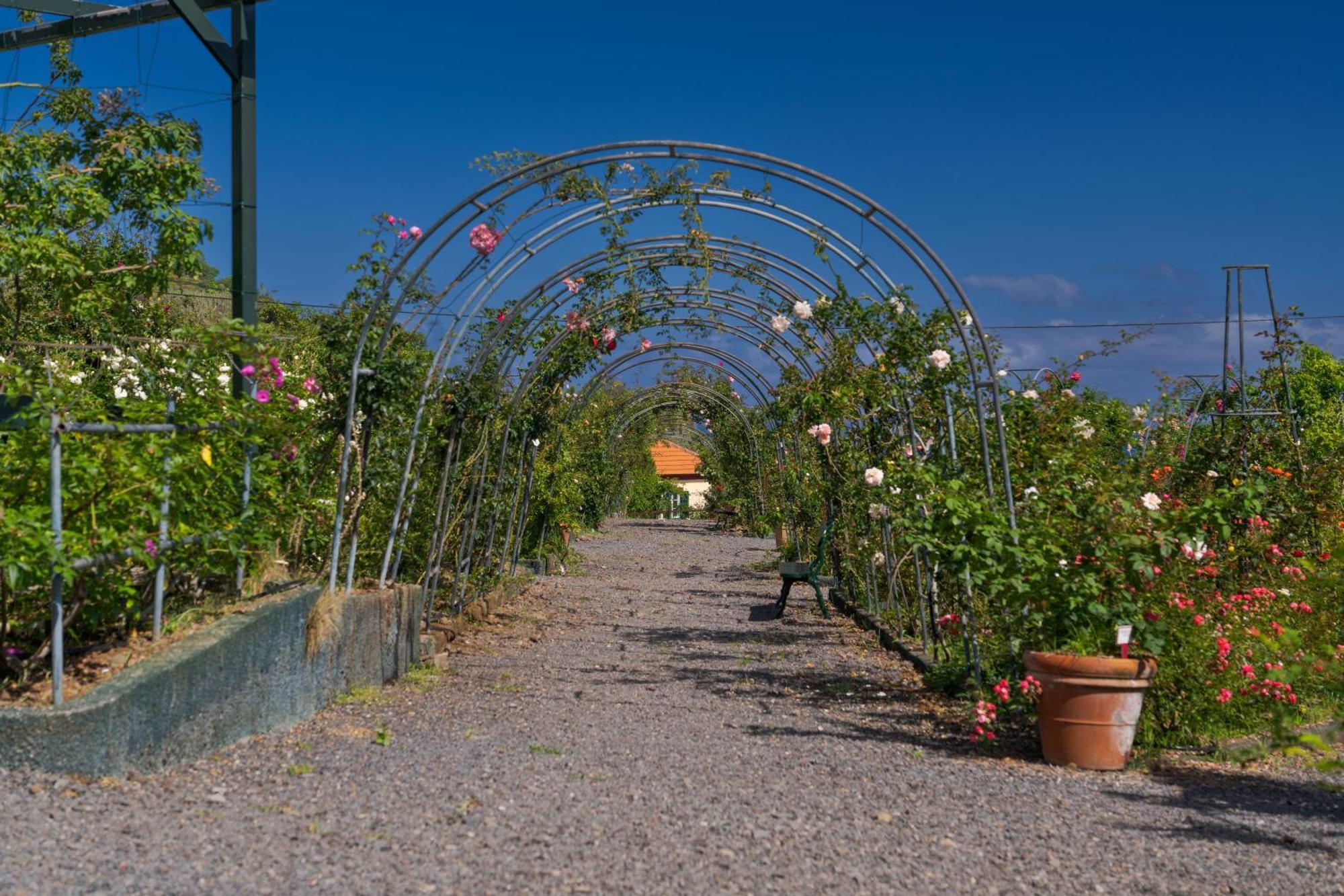 Pestana Quinta Do Arco Nature & Rose Garden Hotel 아르코데상조르주 외부 사진